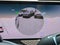 2026 Genesis GV80 Coupe 3.5T E-SC MHEV